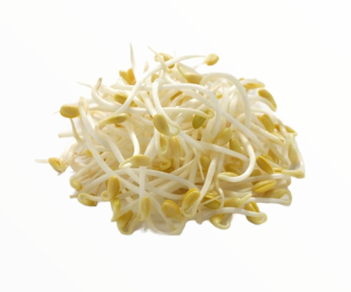 Germen Coreano 500g